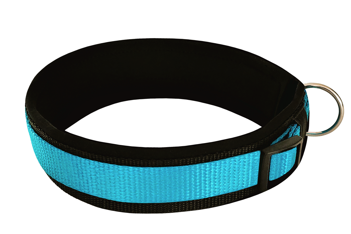 Hundehalsband-extra-breit-Neopren-Polster-himmelblau-auf-schwarz
