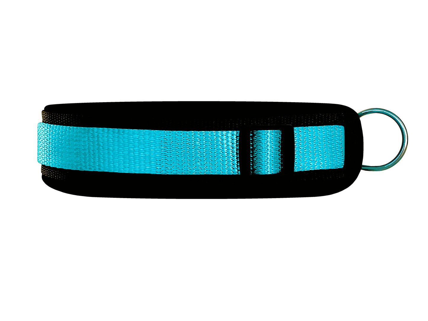 Hundehalsband-extra-breit-Neopren-Polster-himmelblau-auf-schwarz
