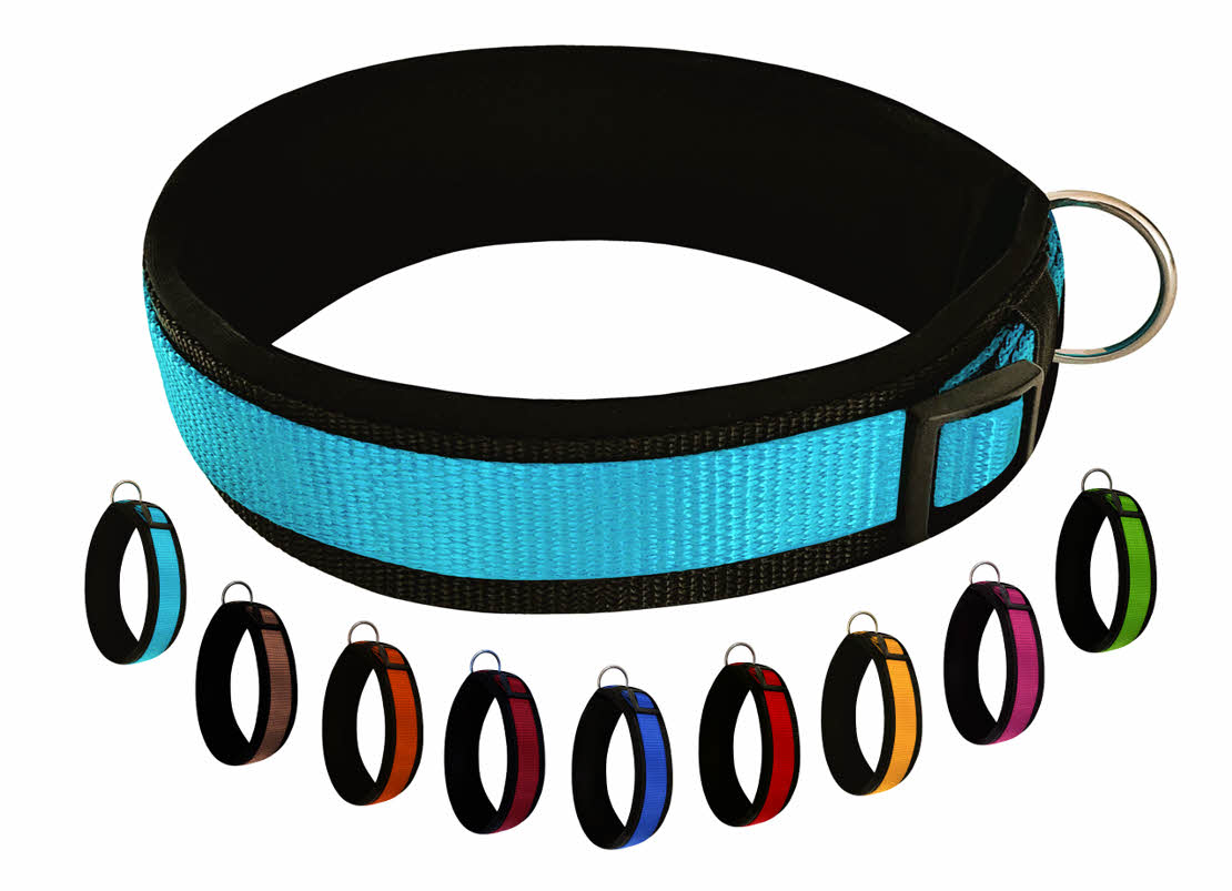 Hundehalsband-extra-breit-Neopren-Polster-himmelblau-auf-schwarz