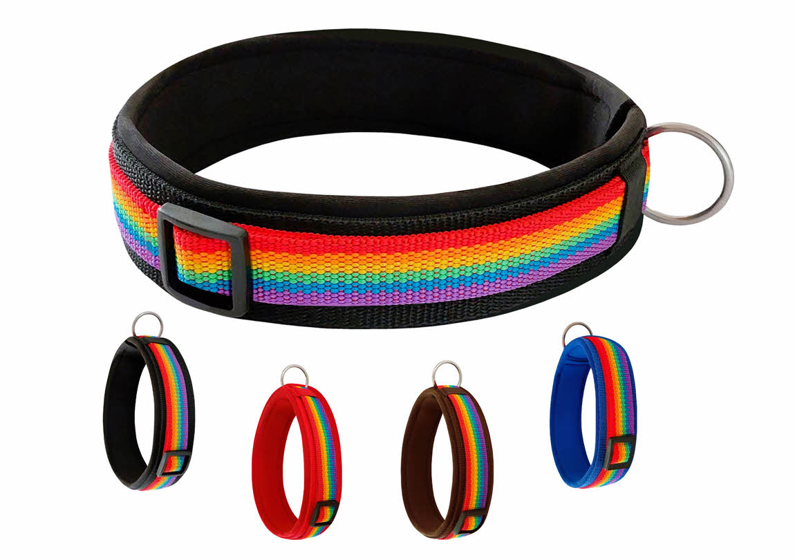 Hundehalsband-extra-breit-neoprenpolster-regenbogen-auf-schwarz