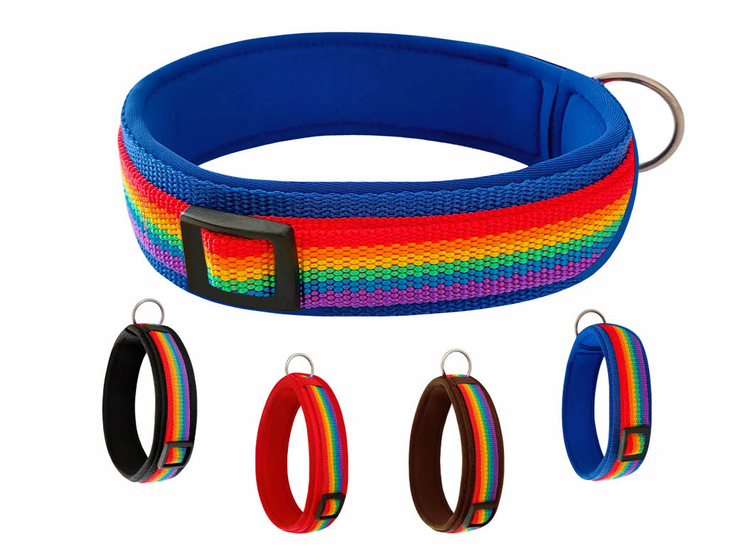 Hundehalsband-extra-breit-neoprenpolster-regenbogen-auf-blau