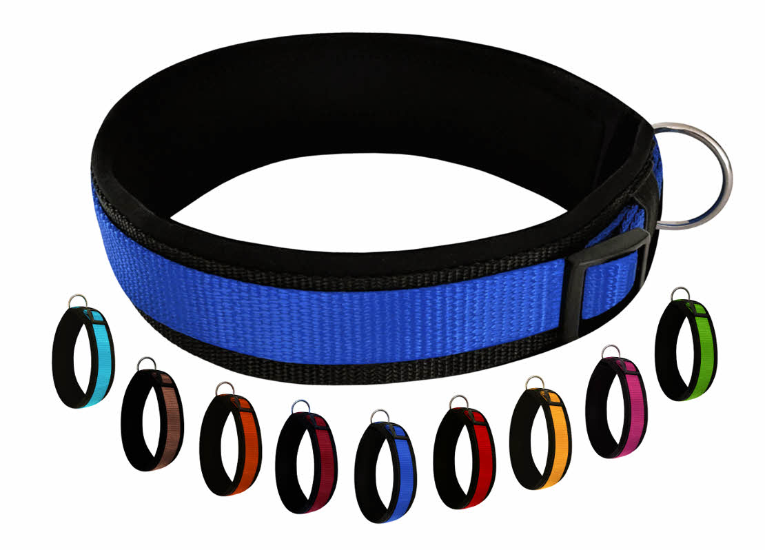 hundehalsband extra-breit neopren-polster blau-schwarz