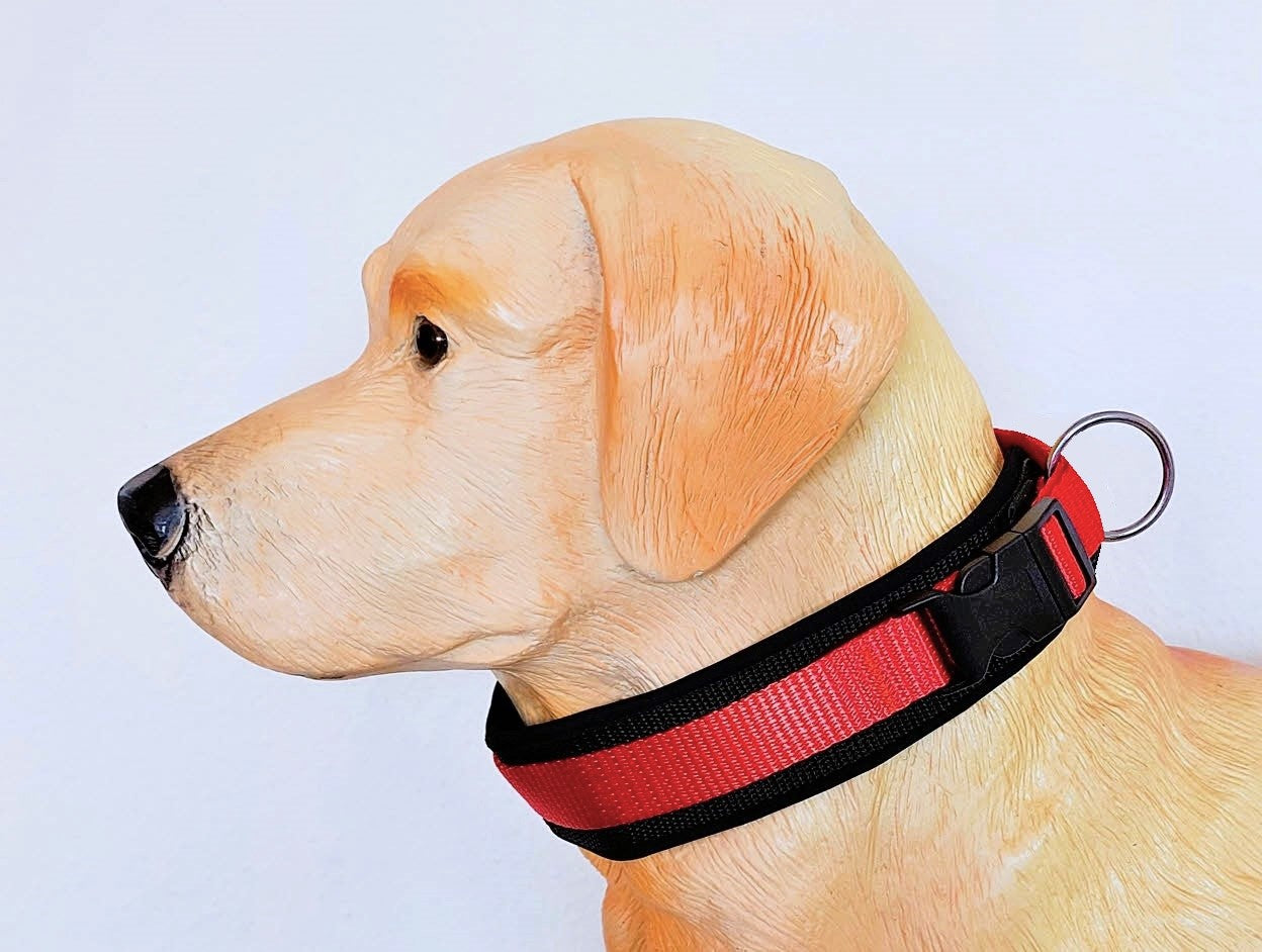 hundehalsband extra-breit neopren-polster orange-auf-schwarz