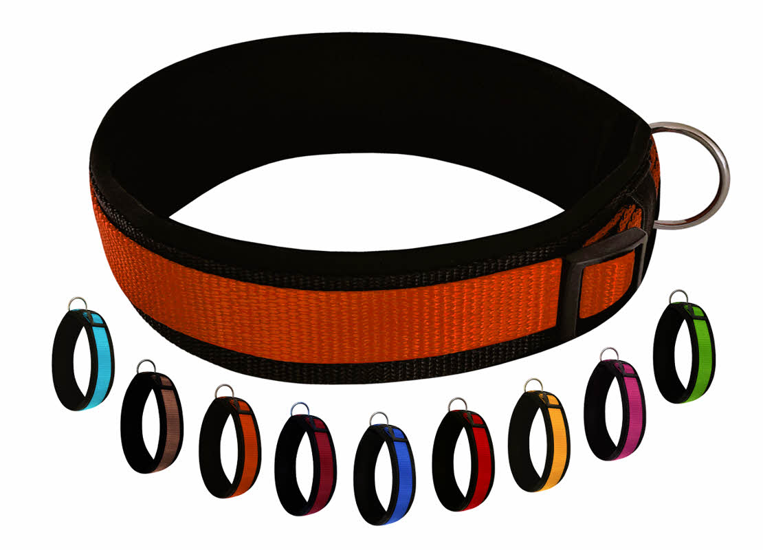 hundehalsband extra-breit neopren-polster orange-auf-schwarz