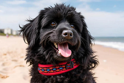 hundehalsband extra-breit neopren-polster bunt mexikanisch