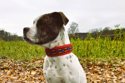 hundehalsband extra-breit neopren-polster bunt mexikanisch