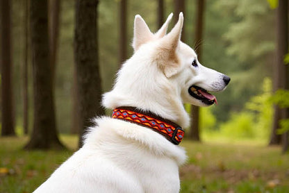 hundehalsband extra-breit neopren-polster bunt mexikanisch