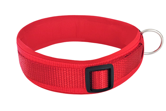 Hundehalsband Extra-Breit mit Neopren-Polster Rot