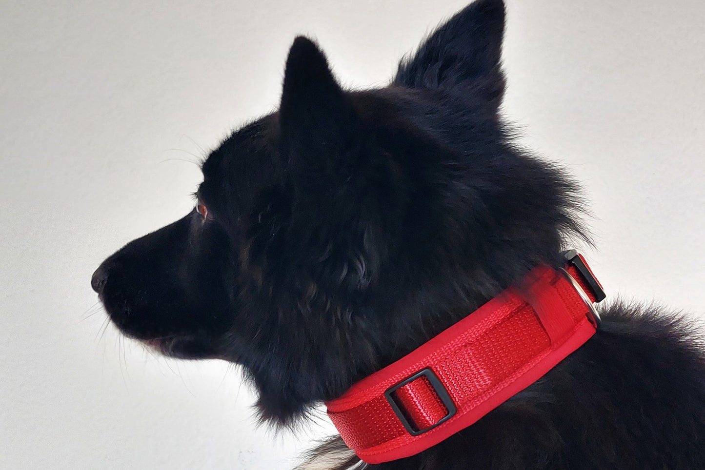 Hundehalsband Extra-Breit mit Neopren-Polster Rot
