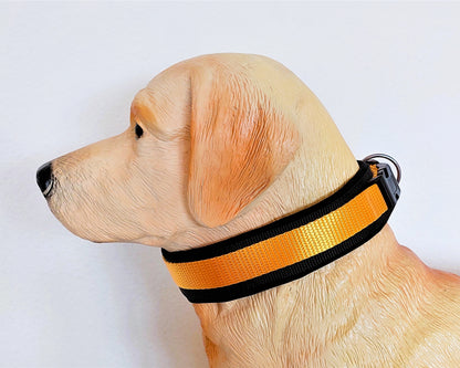 Hundehalsband Extra-Breit Weich Neopren polster gelb schwarz