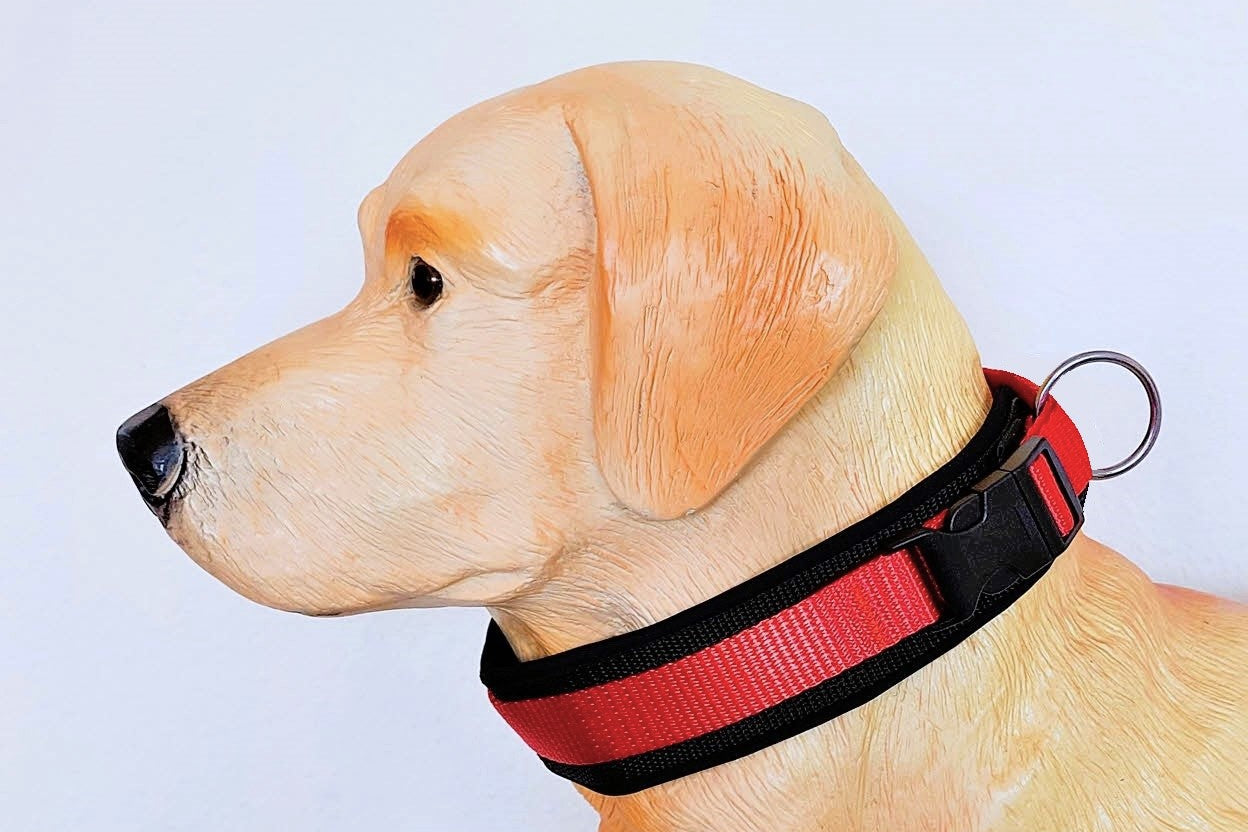 hundehalsband extra breit neopren polster orange schwarz