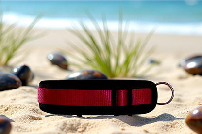 Hundehalsband Extra-Breit Weich neopren-Polster weinrot bordeaux schwarz