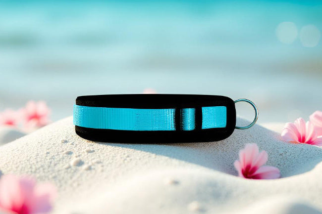 Hundehalsband Extra-Breit Weich neopren-Polster himmelblau schwarz