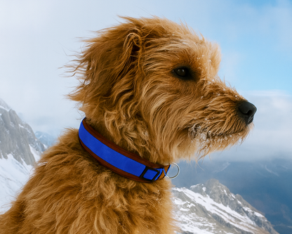 Hundehalsband Extra-Breit Weich neopren-Polster blau braun