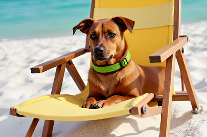 Hundehalsband Extra-Breit Weich neopren-Polster grün braun