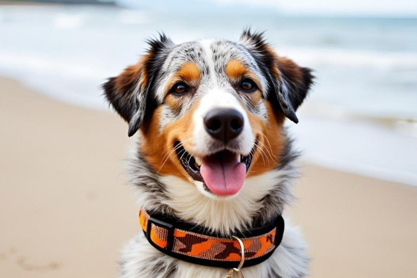 hundehalsband-extra-breit-neopren-polster-hellbraun-orange-dunkelbraun-camouflage