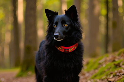 Hundehalsband-extra-breit-neopren-polster-dunkelbraun-orange-rot-auf-rot-camouflage
