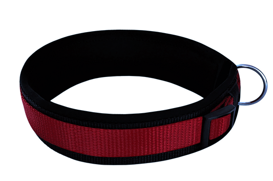 hundehalsband extra-breit neopren-polster weinrot-auf-schwarz
