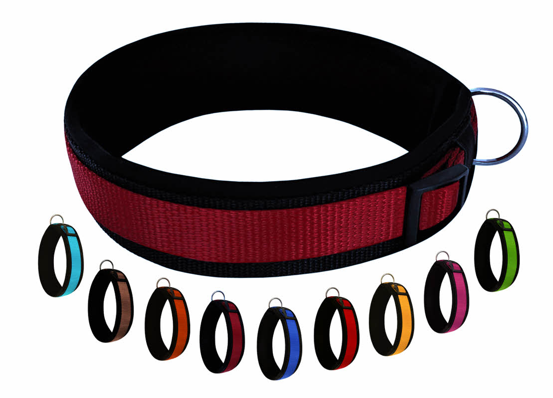 hundehalsband extra-breit neopren-polster weinrot-auf-schwarz