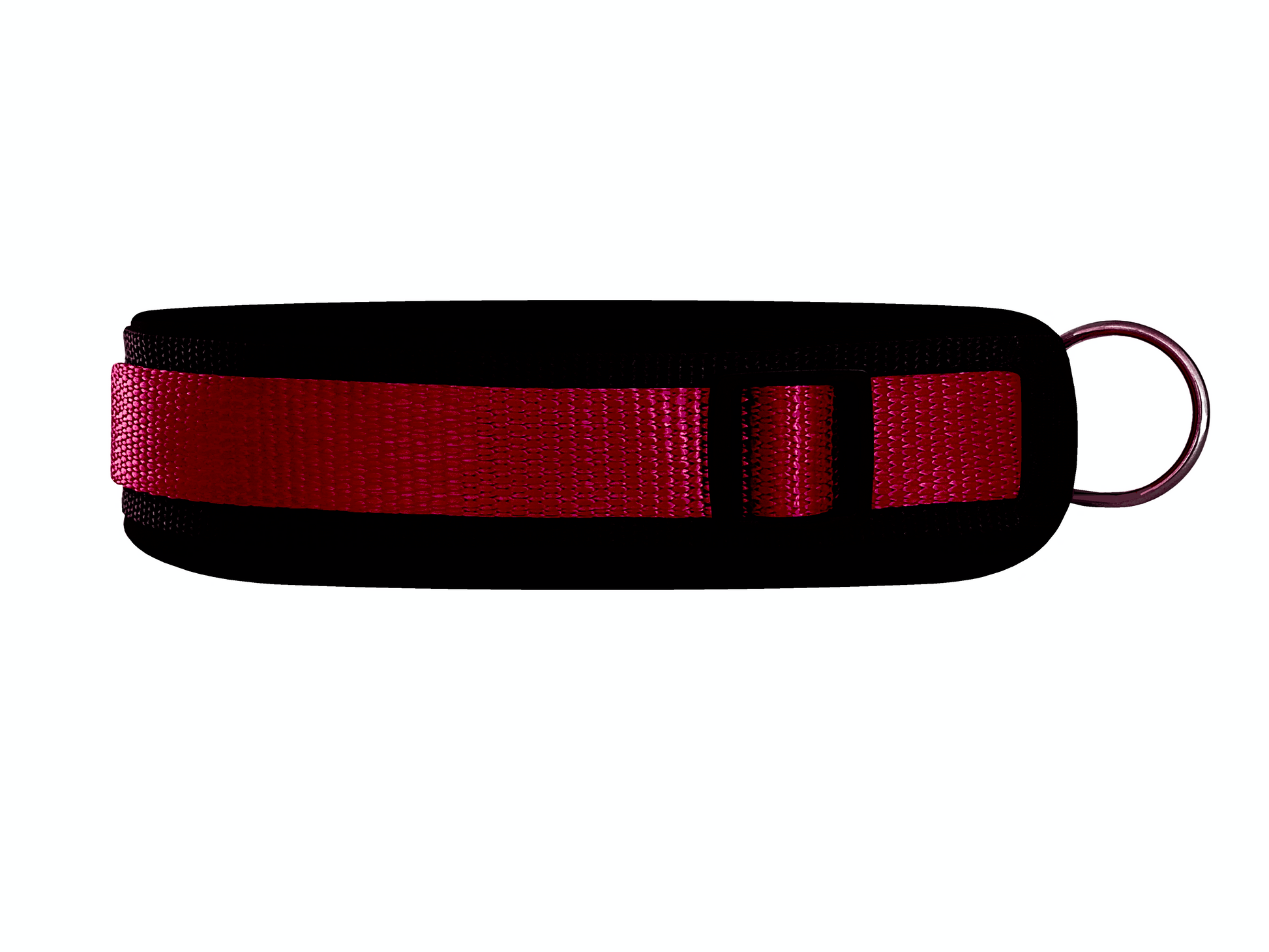 hundehalsband extra-breit neopren-polster weinrot-auf-schwarz