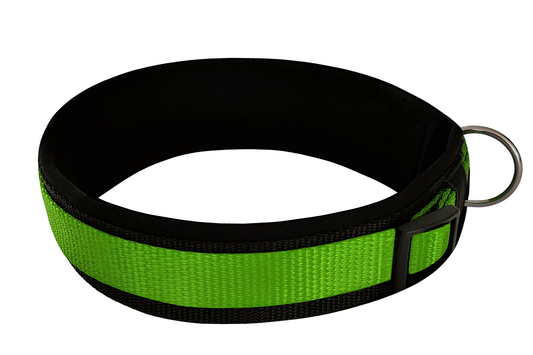 Hundehalsband extra-breit mit Neopren-Polster grün auf schwarz