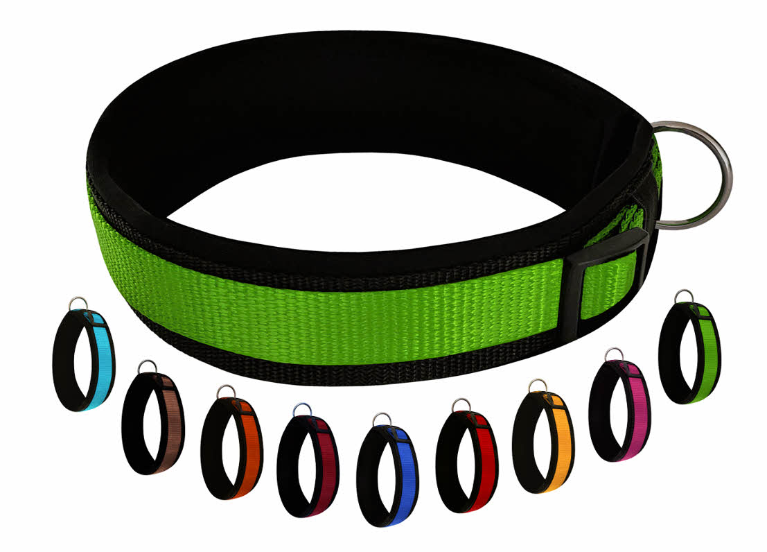 Hundehalsband extra-breit mit Neopren-Polster grün auf schwarz