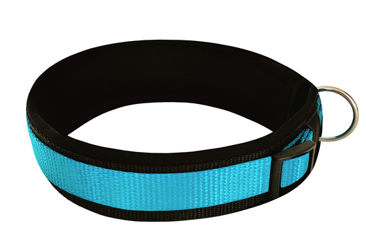 Hundehalsband-extra-breit-Neopren-Polster-himmelblau-auf-schwarz