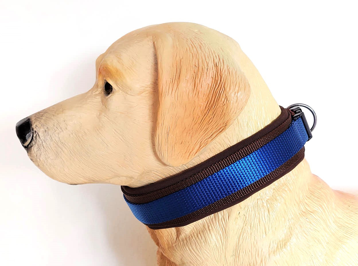 hundehalsband extra-breit neopren-polster zweifarbig