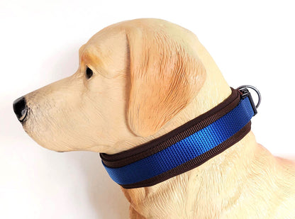 hundehalsband extra-breit neopren-polster zweifarbig