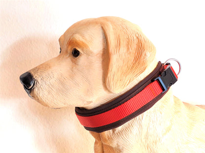 hundehalsband extra-breit neopren-polster zweifarbig