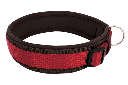 hundehalsband extra-breit neopren-polster zweifarbig