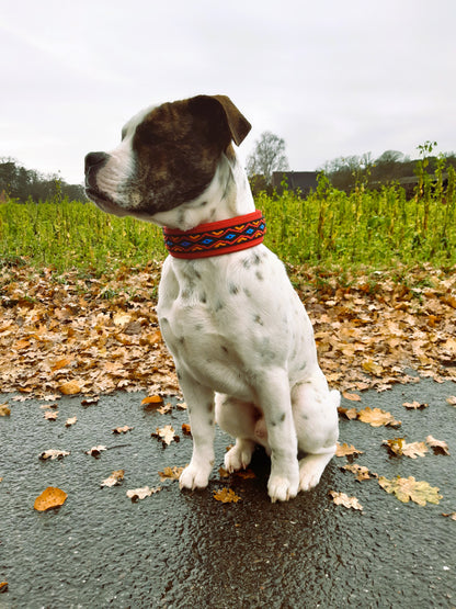 hundehalsband extra-breit neopren-polster bunt mexikanisch