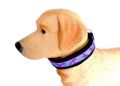 Buntes Hundehalsband extra-breit neopren-polster 
