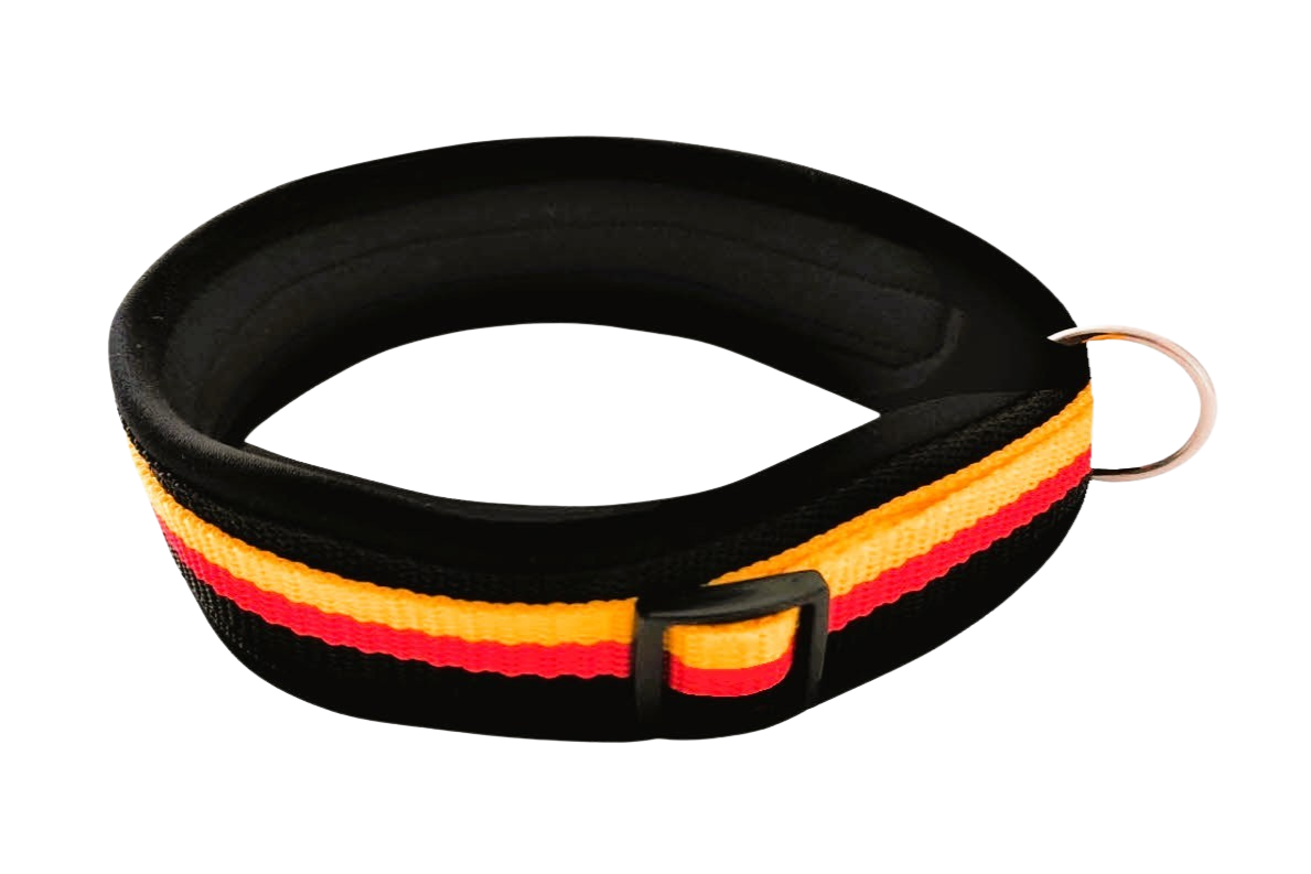 hundehalsband extra-breit neopren-polster deutschlandfarbe