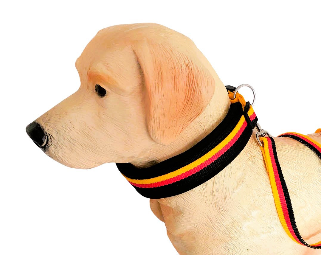 hundehalsband extra-breit neopren-polster deutschlandfarbe