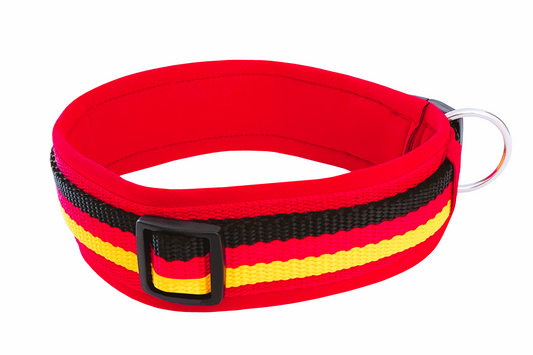 hundehalsband extra-breit neopren-polster deutschlandfarbe