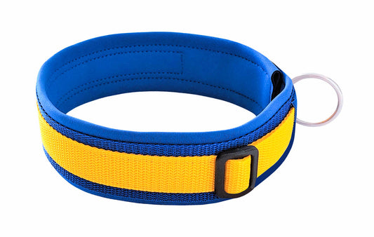 hundehalsband extra-breit neopren-polster gelb-auf-blau