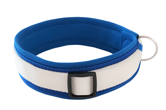 hundehalsband extra-breit neopren-polster weiß-auf-blau