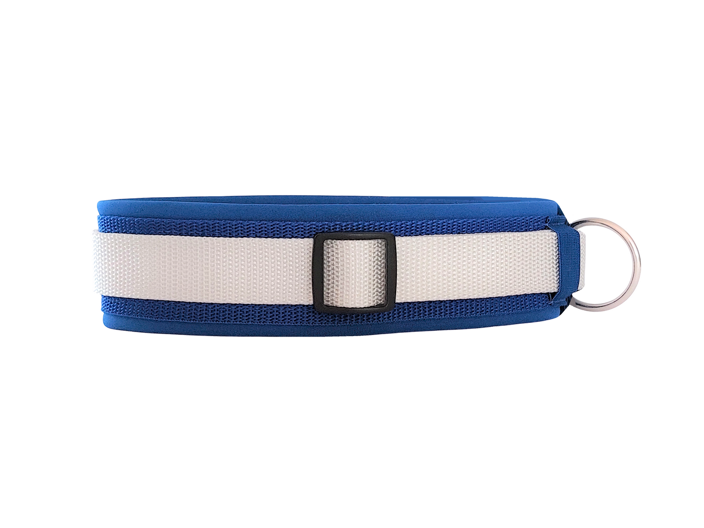 hundehalsband extra-breit neopren-polster weiß-auf-blau