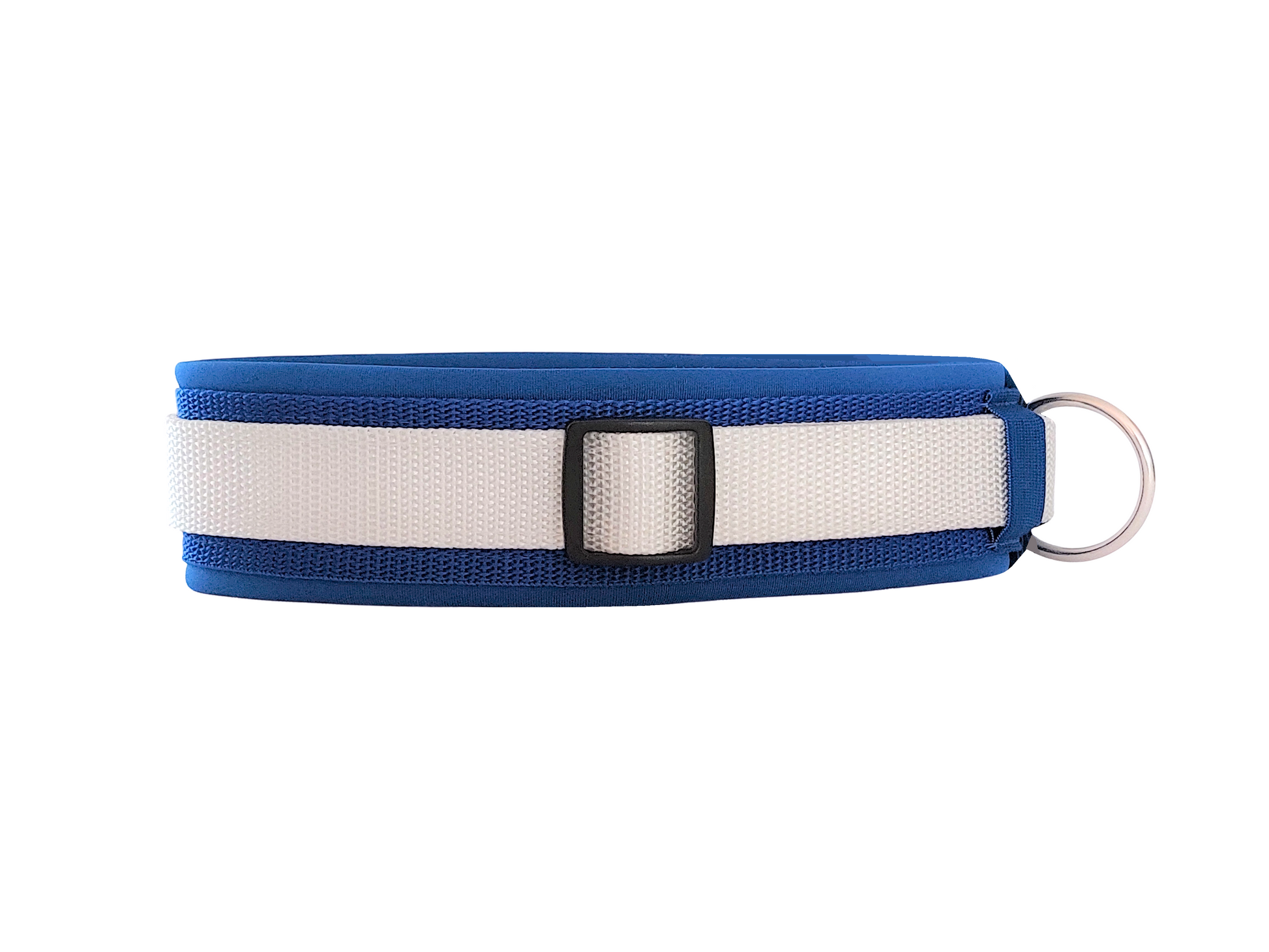 hundehalsband extra-breit neopren-polster weiß-auf-blau