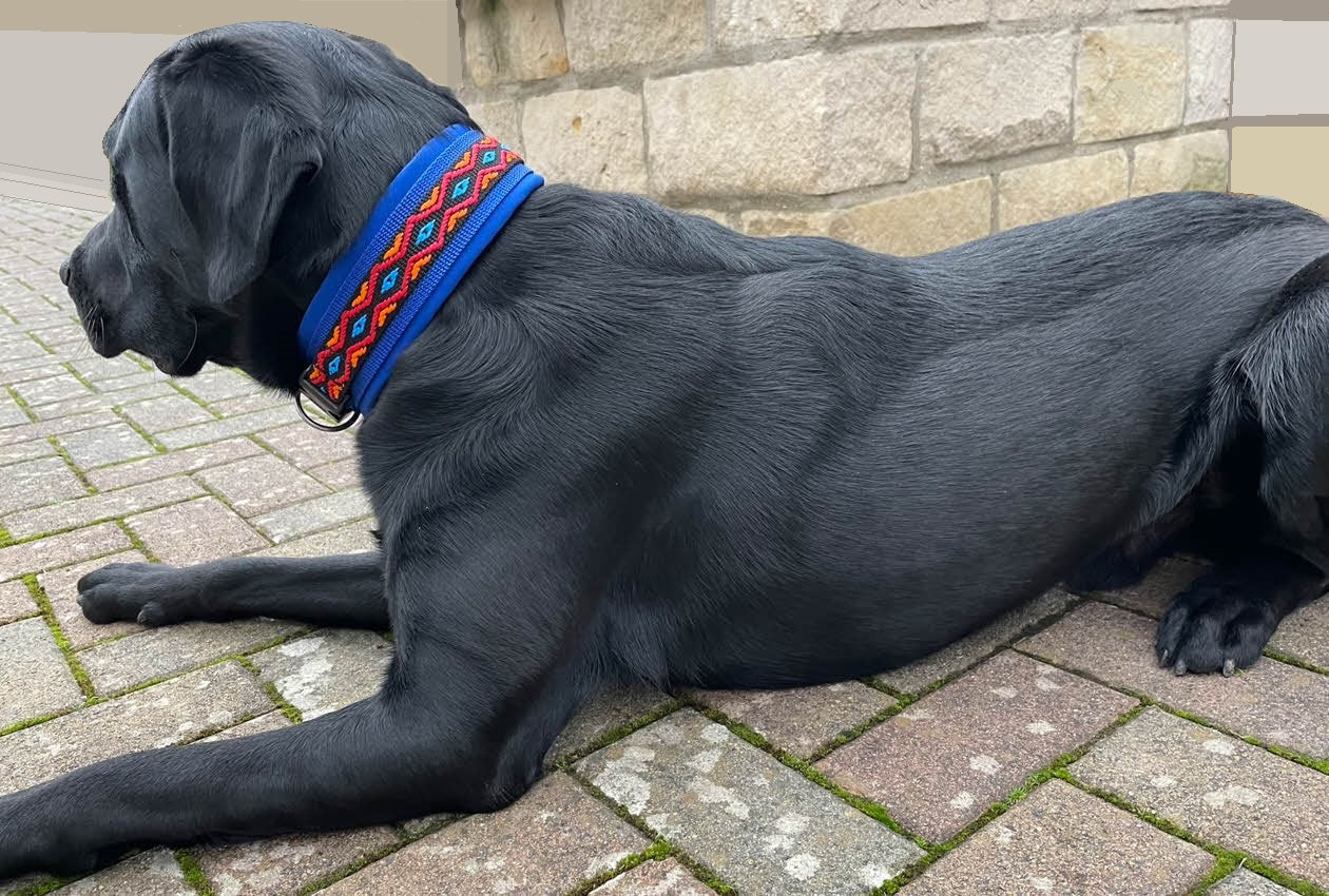 hundehalsband extra-breit neopren-polster bunt mexikanisch