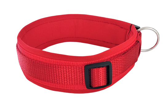 hundehalsband extra-breit neopren-polster einfarbig rot