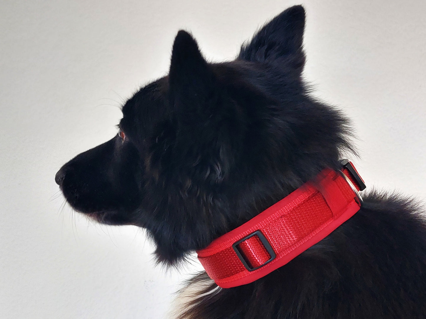 hundehalsband extra-breit neopren-polster einfarbig rot