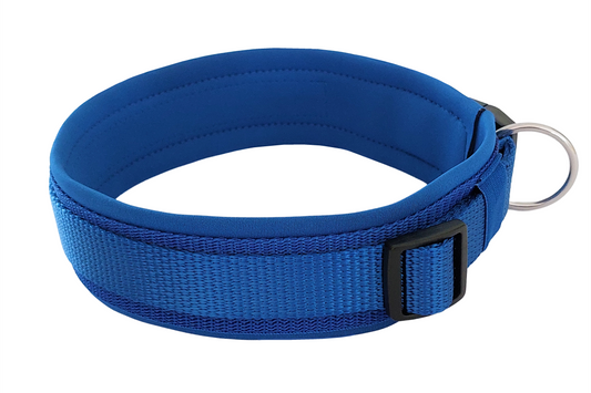 hundehalsband extra-breit neopren-polster einfarbig blau