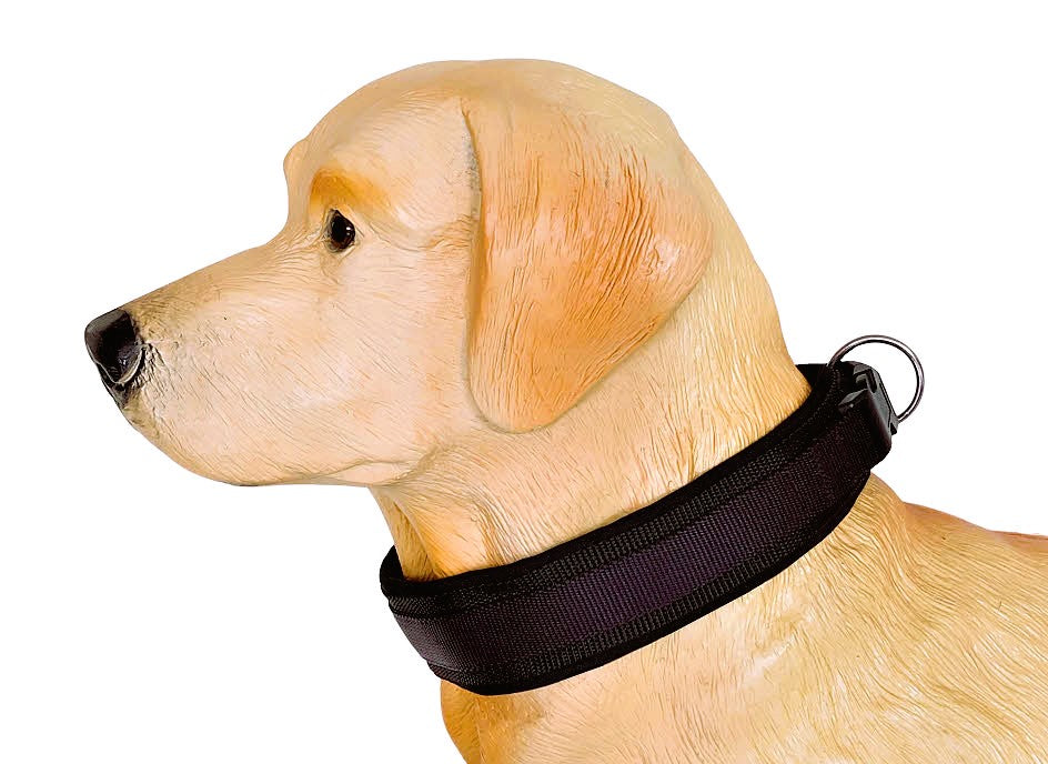 hundehalsband extra-breit neopren-polster einfarbig schwarz