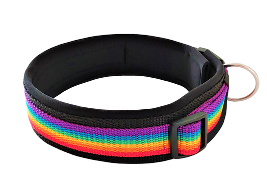 hundehalsband extra-breit neopren-polster Regenbogenfarben
