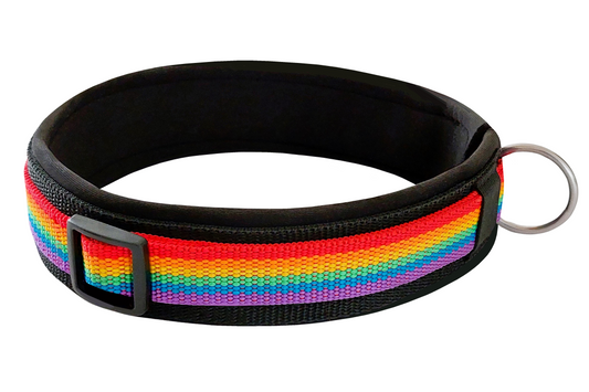 Hundehalsband-extra-breit-neoprenpolster-regenbogen-auf-schwarz