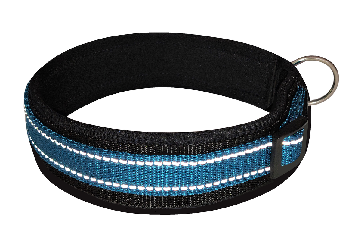 hundehalsband-breit-neopren-polster-reflektor-Petrol-schwarz