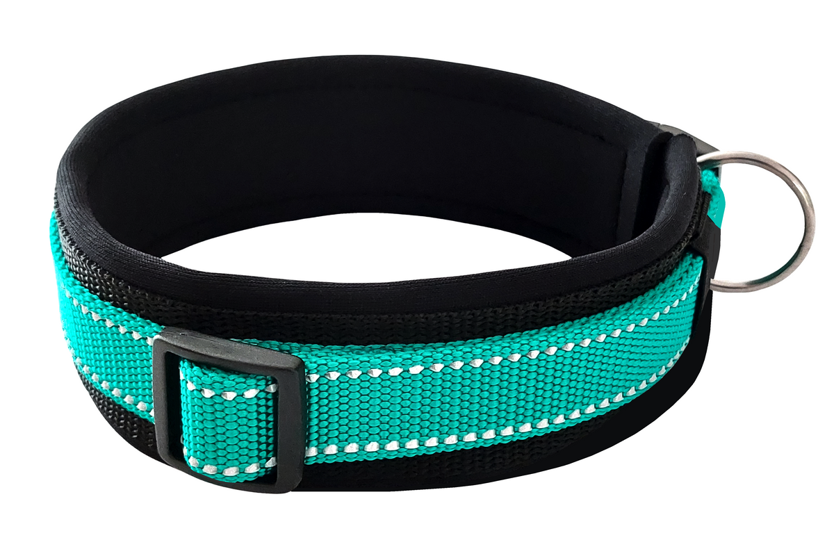 hundehalsband-breit-neopren-polster-reflektor-grün-schwarz