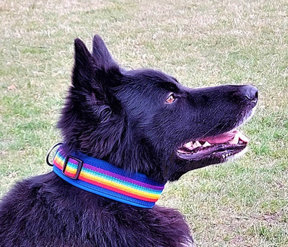 hundehalsband extra-breit neopren-polster Regenbogenfarben